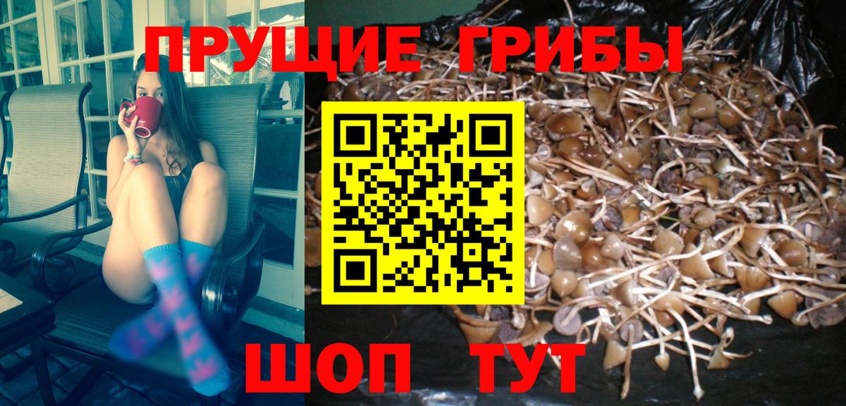 Галлюциногенные грибы Magic Shrooms  Вход с VPN  Балашиха 